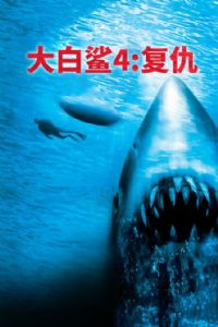 �����4������