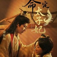 ����̫����